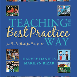 Teaching the Best Practice Way : Methods That Matter K-12