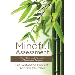 Mindful Assessment: The 6 Essential Fluencies of Innovative